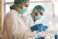 Top-Paying STEM Careers: Highest Salaries by Field and Role