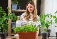 11 Budget-Friendly Ways to Eat Nutritiously Without Overspending