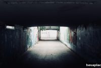How a Near-Death Experience Can Change Your Relationship to Work