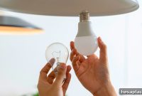The Hidden Cartel Behind Why Your Lightbulubs Burn Out Faster