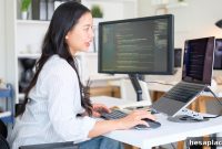 Top 15 Highest-Paying Software Engineering Roles in 2025