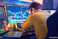 Record Stock Investments Raise Alarm for Some Economists