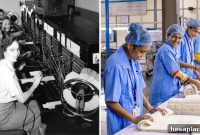10 Once-Thriving Careers Disrupted by Technology