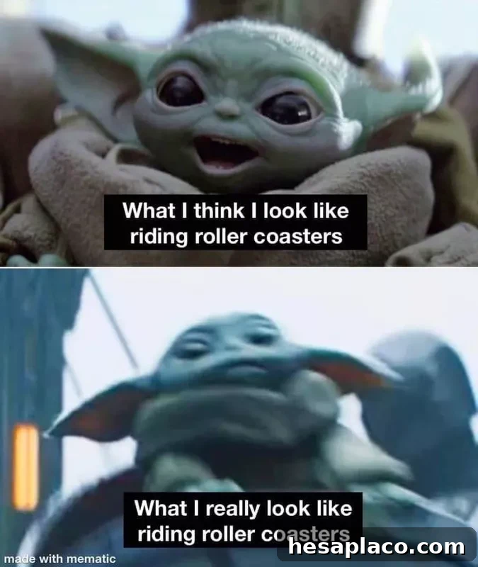 Baby Yoda on a roller coaster