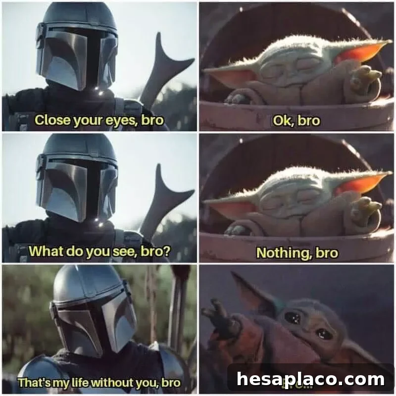 Baby Yoda bro meme