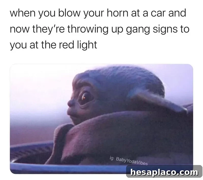 Meme about honking your horn