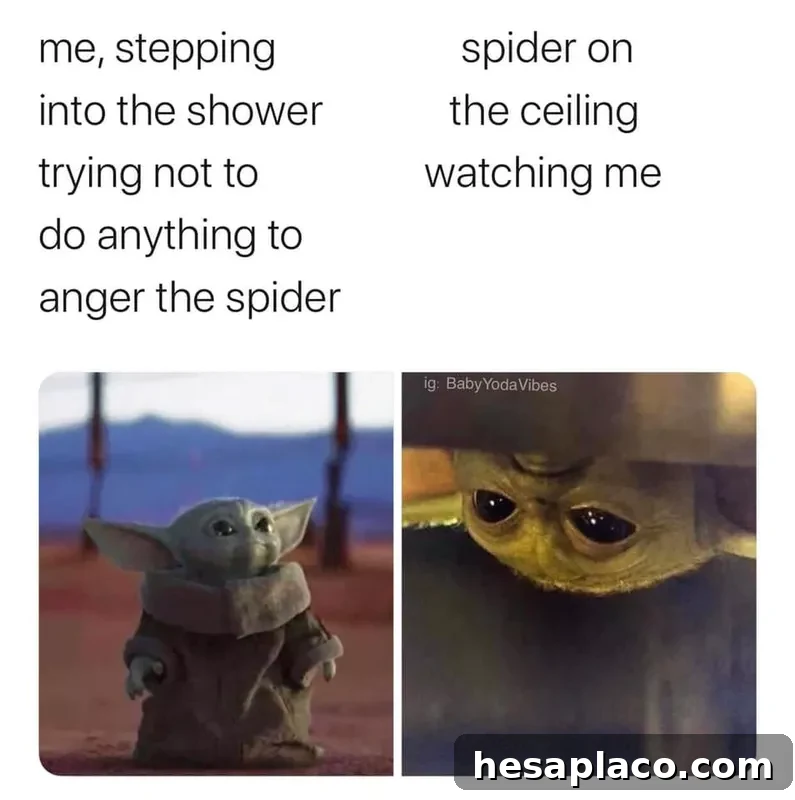 Baby Yoda spider meme