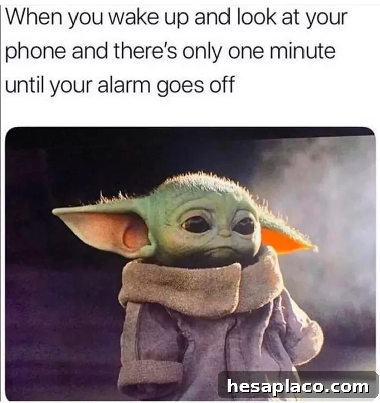 Sad Baby Yoda meme