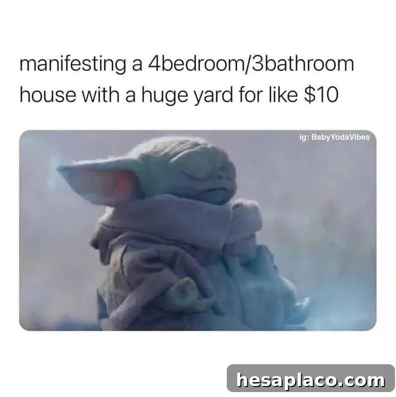 Baby Yoda manifestation meme