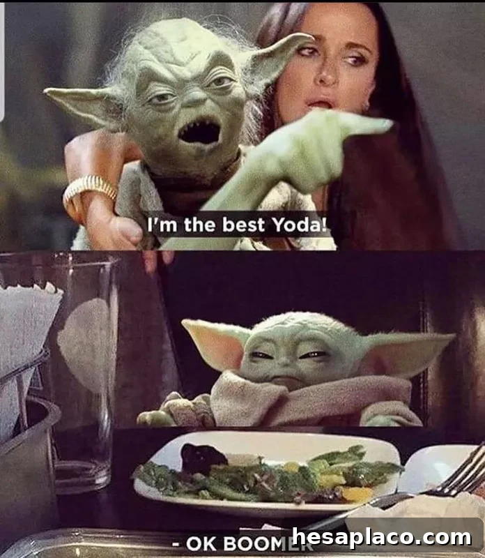 Baby Yoda vs. old Yoda