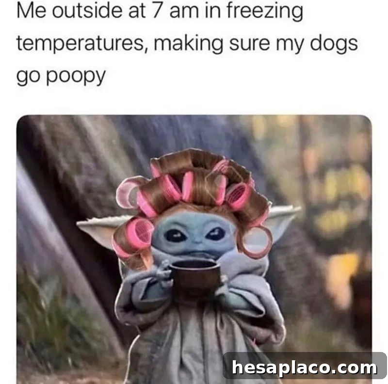 Baby Yoda with hair curlers