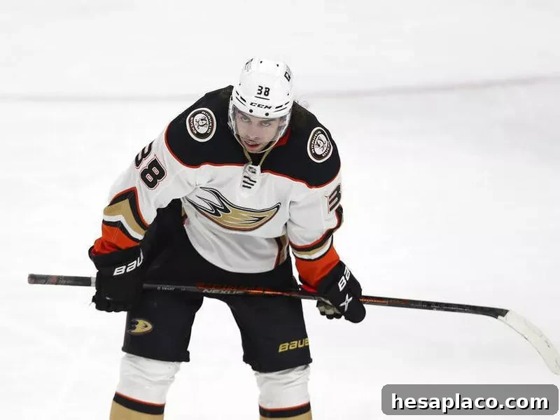 Anaheim Ducks