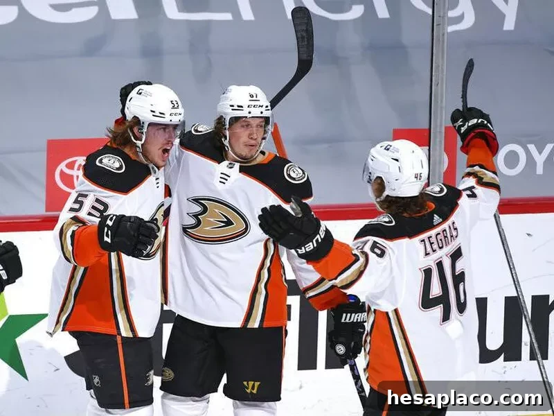 Anaheim Ducks