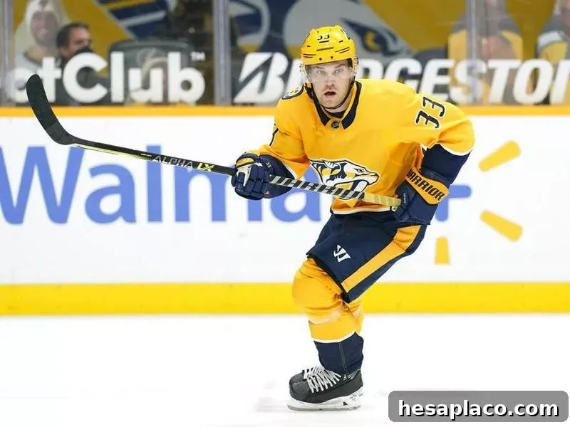Nashville Predators