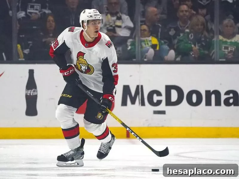 Ottawa Senators