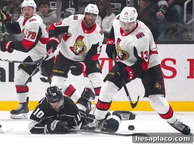 Ottawa Senators