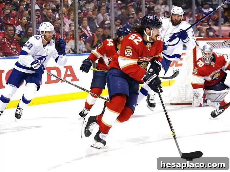 Florida Panthers
