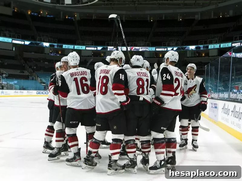 Arizona Coyotes