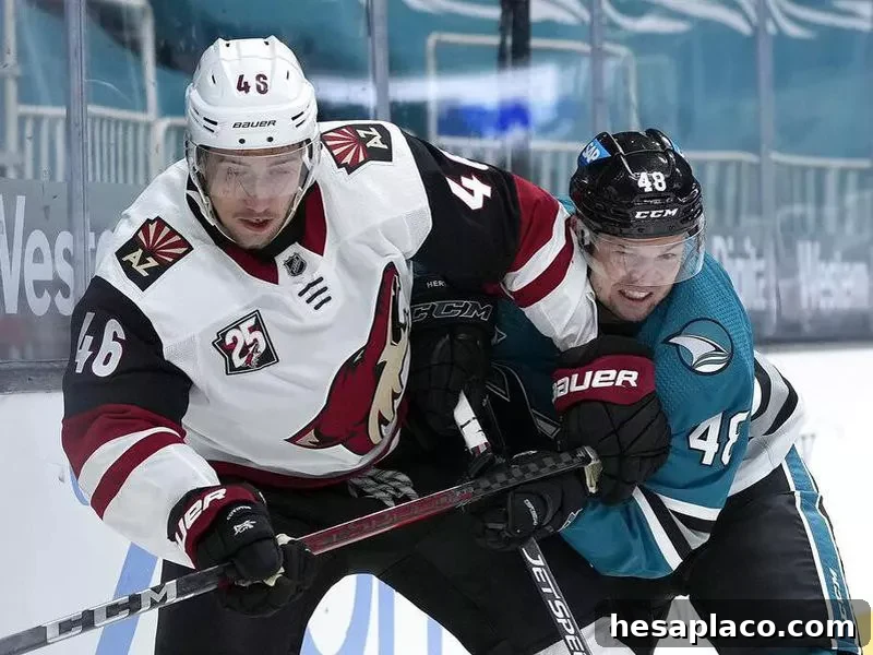 Arizona Coyotes