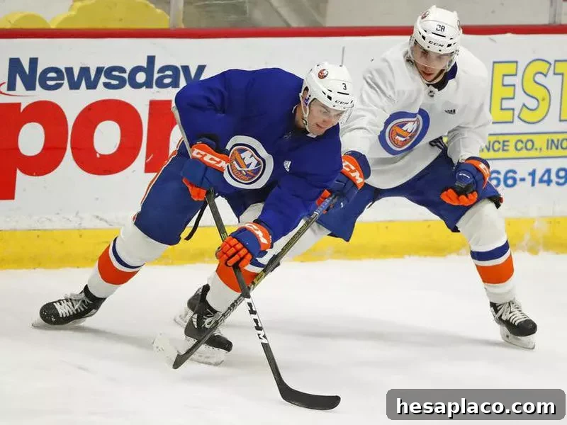 Adam Pelech,Michael Dal Colle