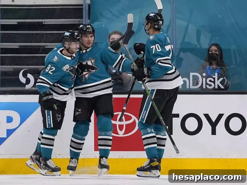 San Jose Sharks