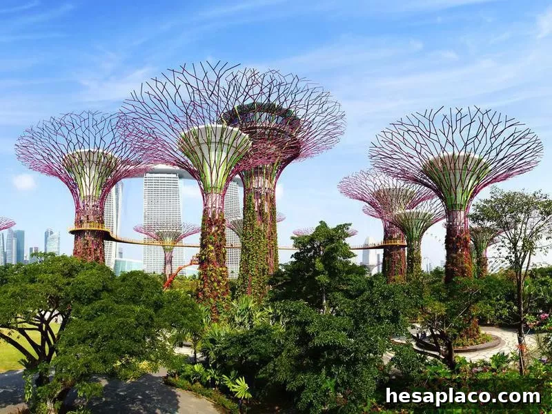 Gardens by the Bay