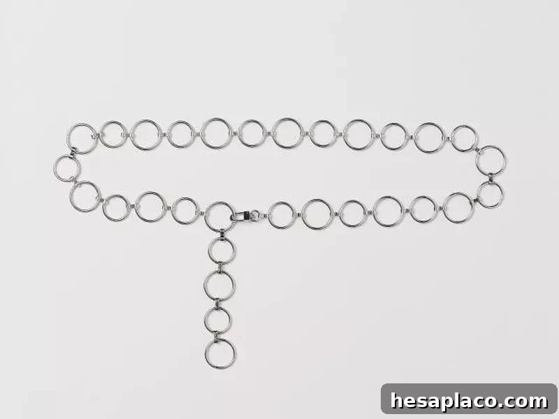 Metal Belt