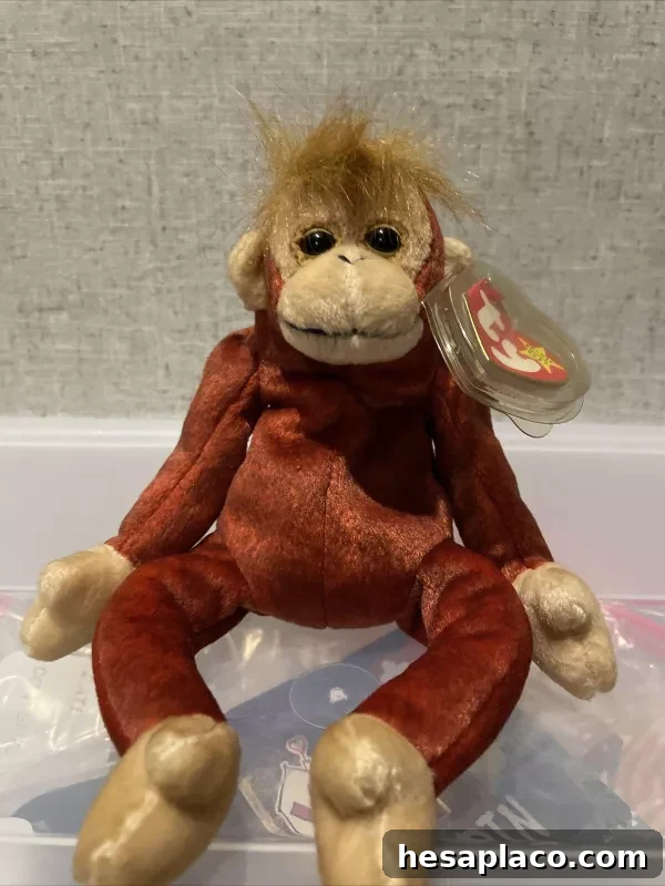 Ty Schweetheart Beanie Baby