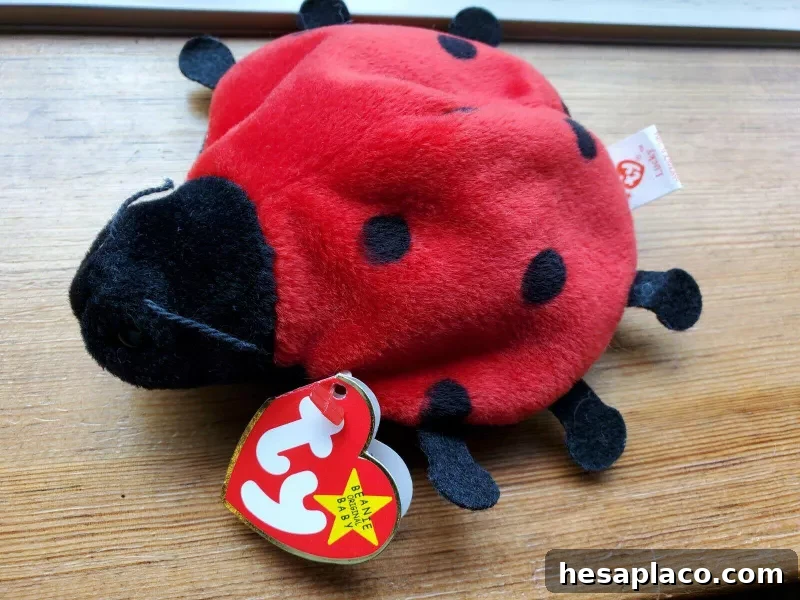 Ty Lucky the Ladybug