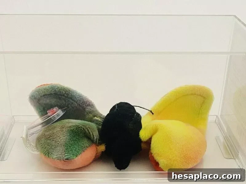 Flutter W/Yellow Wing Beanie Baby