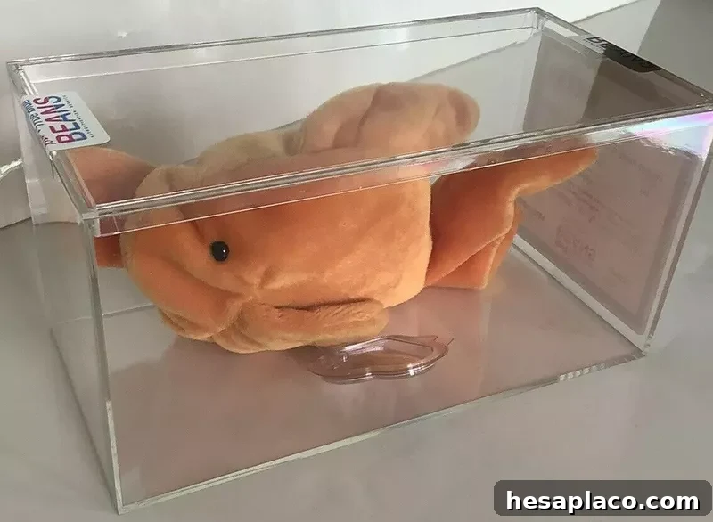 Goldfish Beanie Baby
