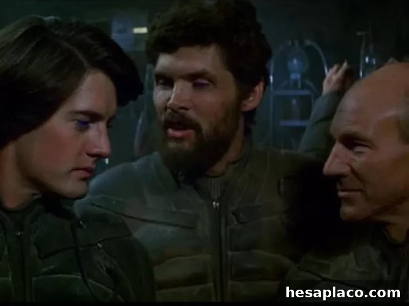 Dune
