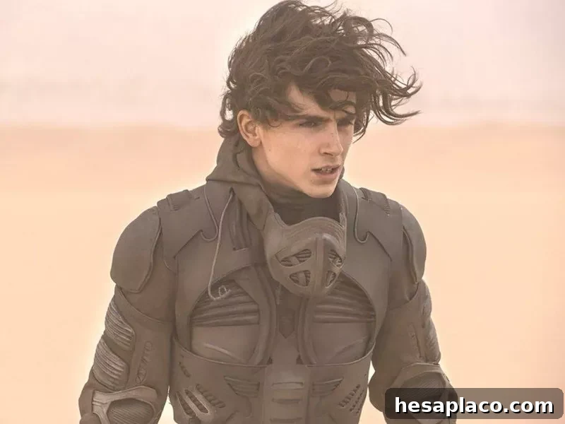 Timothée Chalamet in Dune