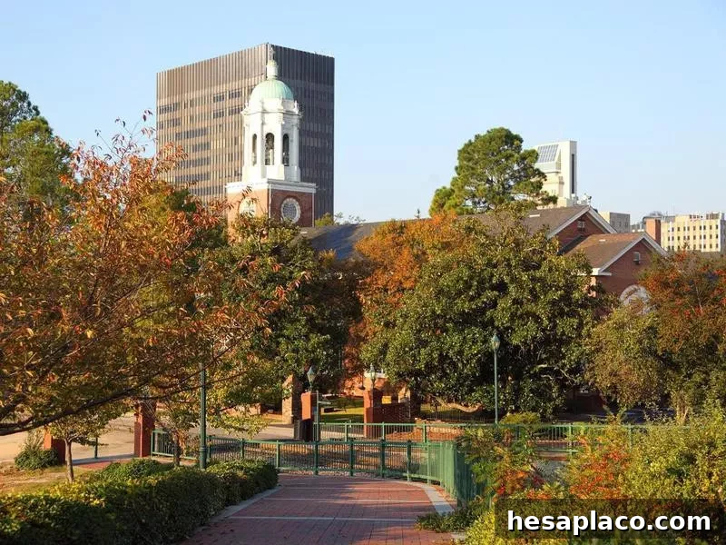 Autumn in Augusta