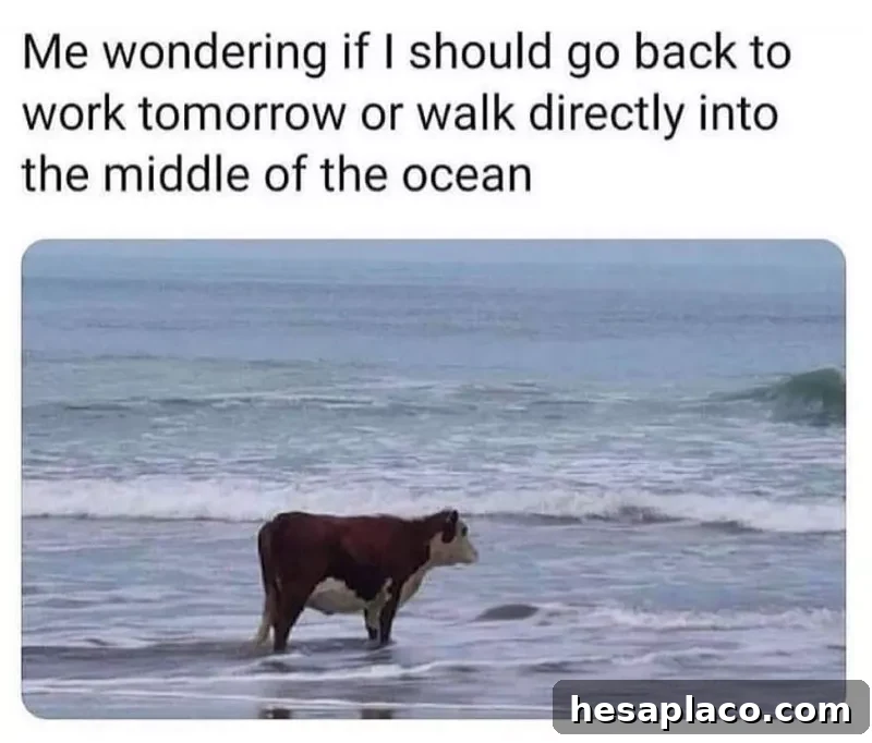 Depression meme