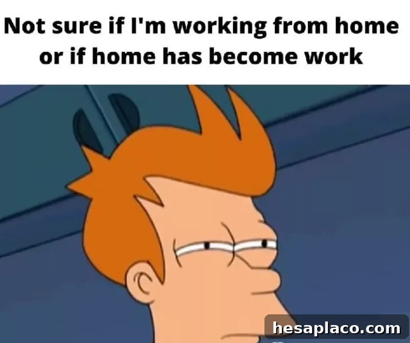 Fry meme