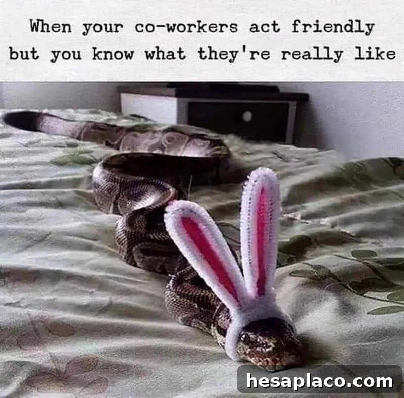 Snake meme