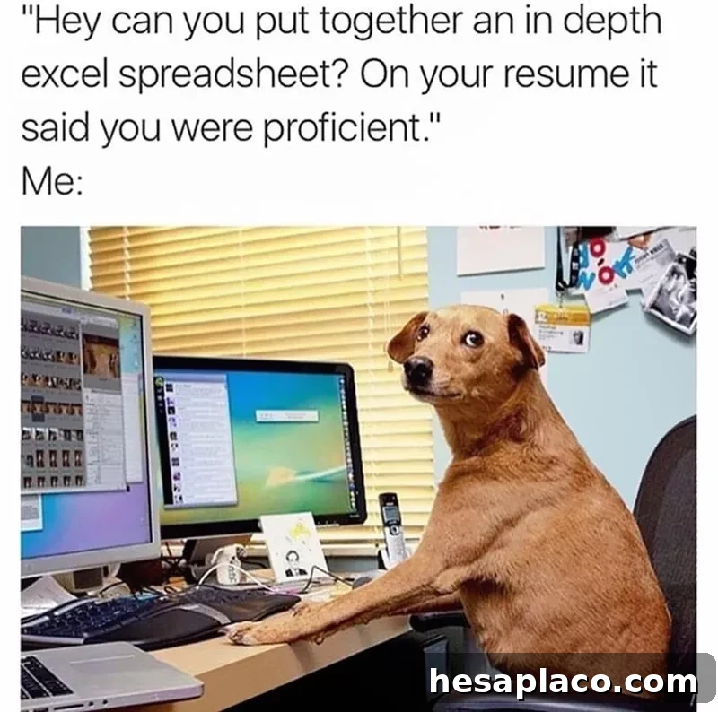 dog working on computer
