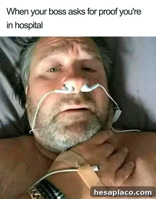 Boss meme