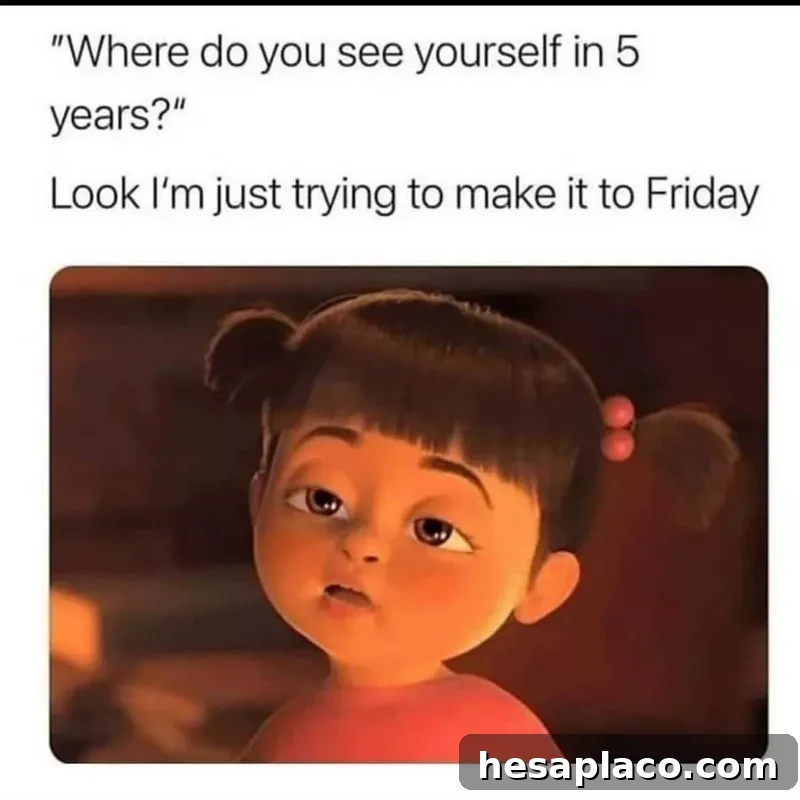 5 years meme
