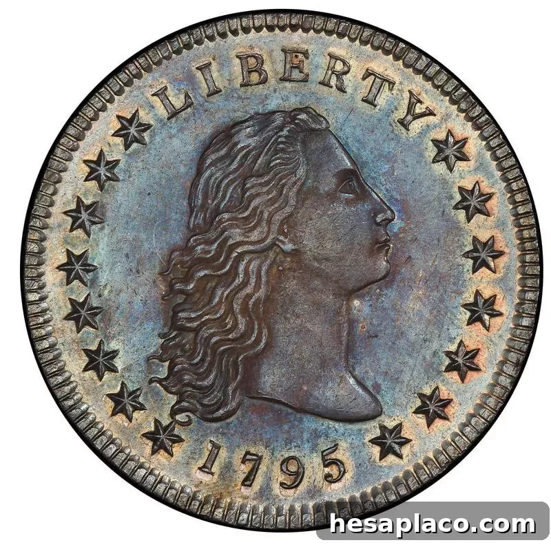 1795 Flowing Hair Silver Dollar