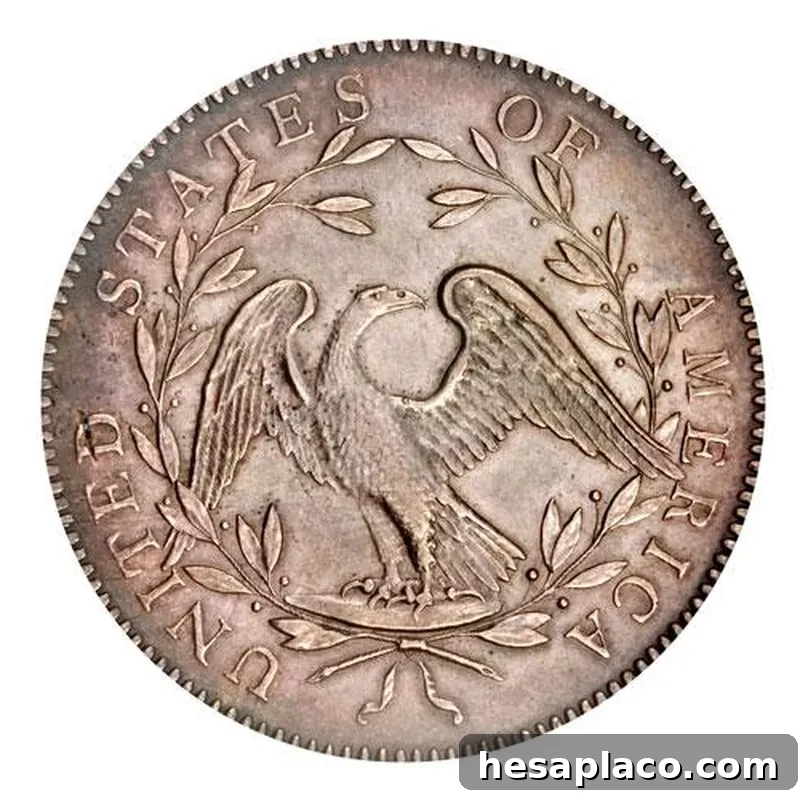 Back of 1794 Flowing Hair Silver Dollar