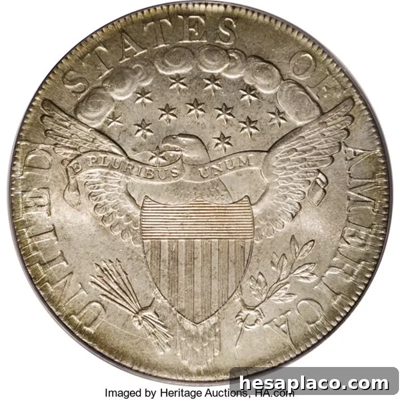 1799 Draped Bust No Berries
