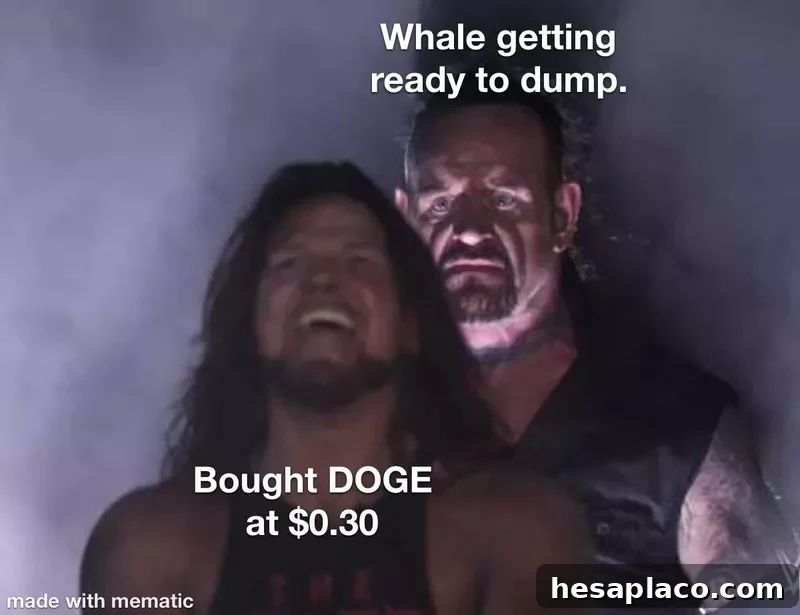 WWE meme