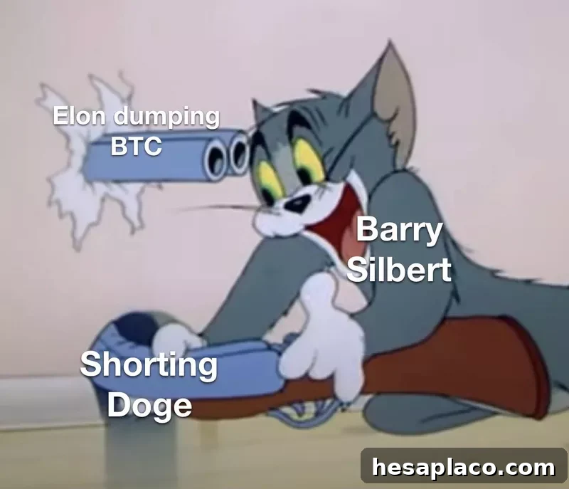 Barry Silbert dogecoin meme