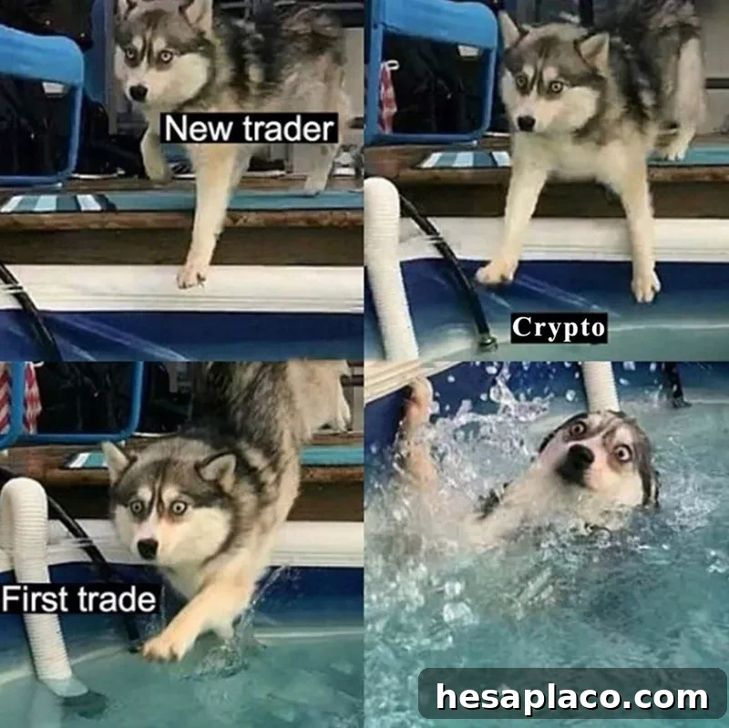 Learning how to swim in the crypto pool