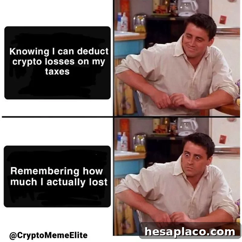 Crypto losses tax meme