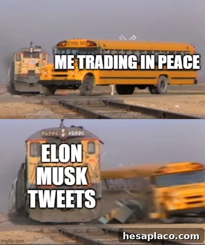 Elon Musk meme