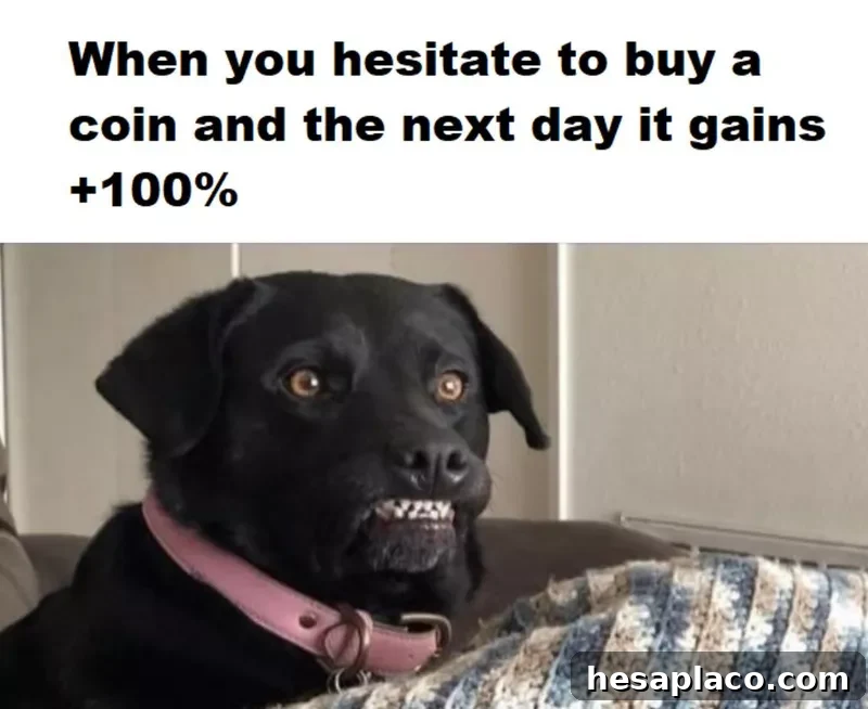 Crypto trading fail