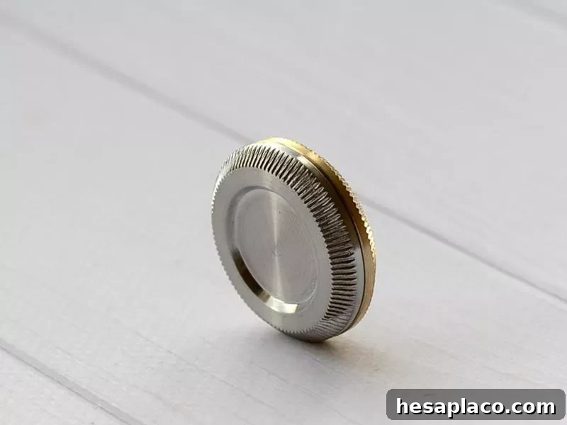 Worry Coin Fidget Toy